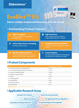 EcoPlex Kits Flyer (2025)